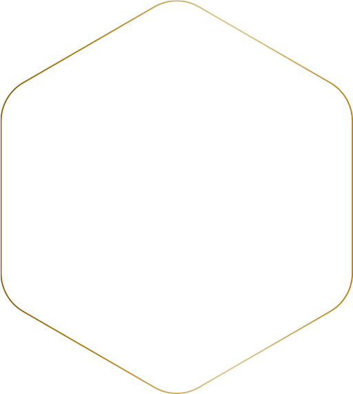 Hexagon asset